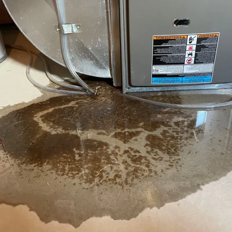 Pipe Burst and Leak Restoration in Santa Fe, NM